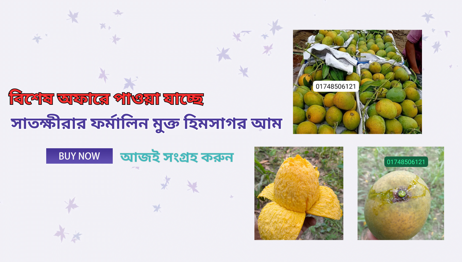 সাতক্ষীরার ফর্মালিন মুক্ত হিমসাগর আম
